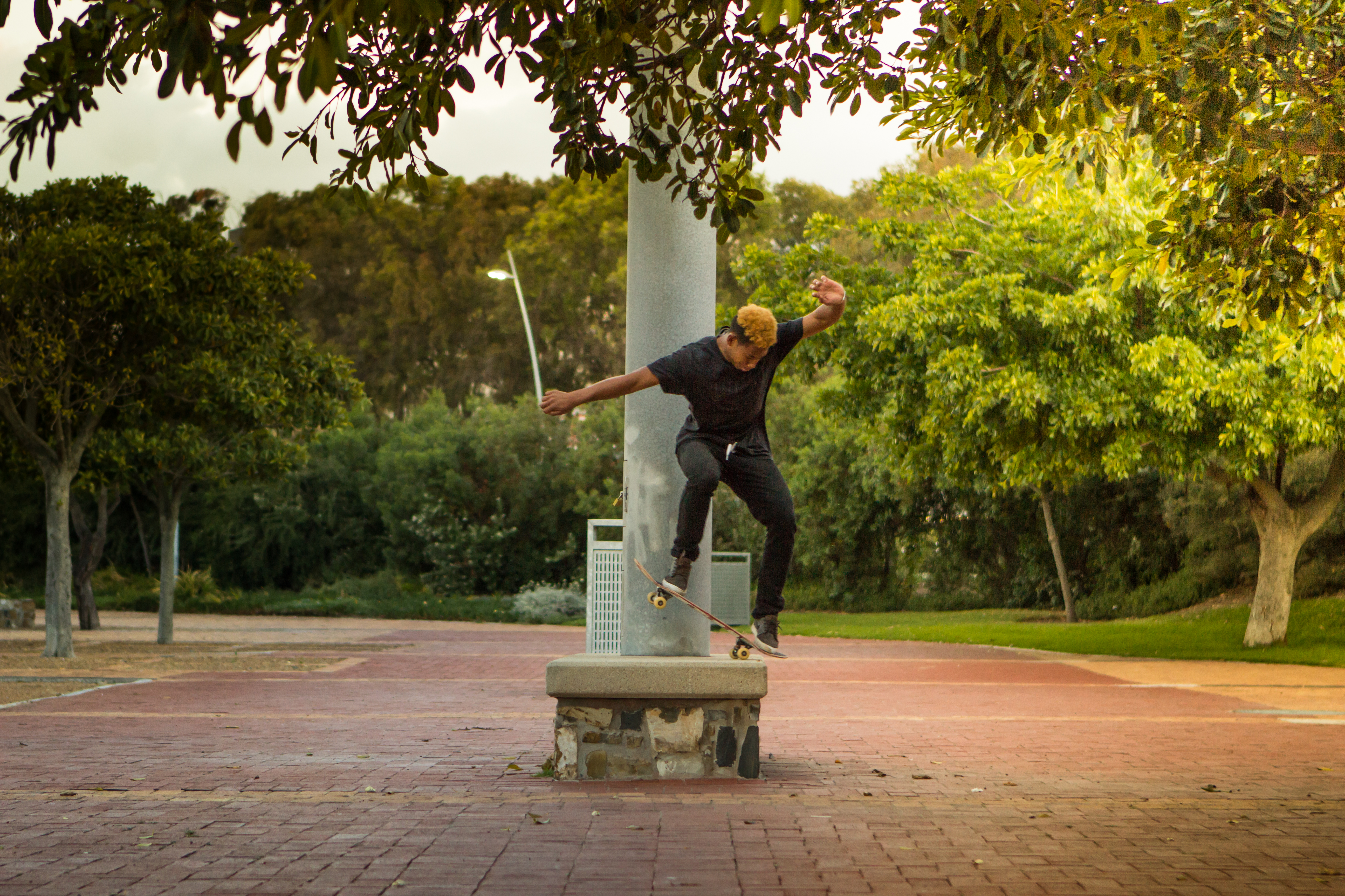 jonathan-toto-captown-nose-manual